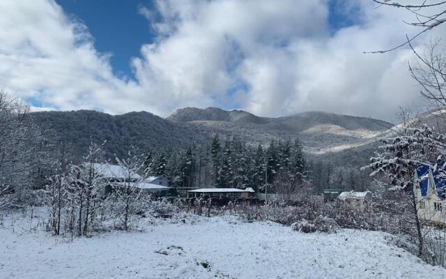 Шале Золотой родник