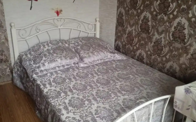 Na Tolstogo 13 Guest House