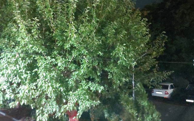 Апартаменты 2-х комнатная квартира на Расула Гамзатова