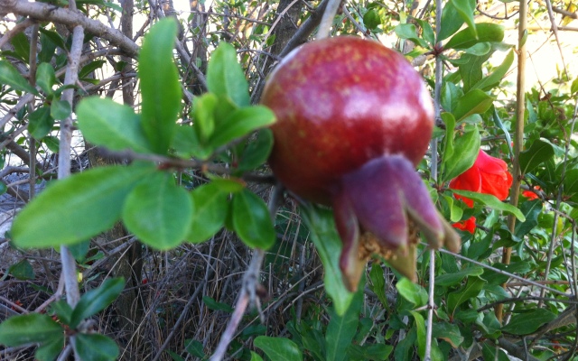 База Отдыха Эко Курорт Морское