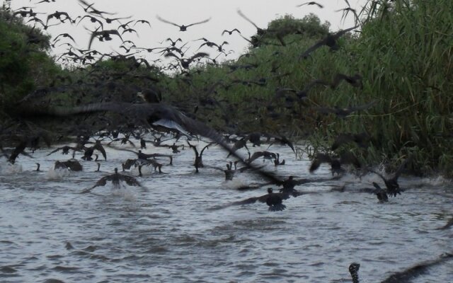 База Отдыха Волчок