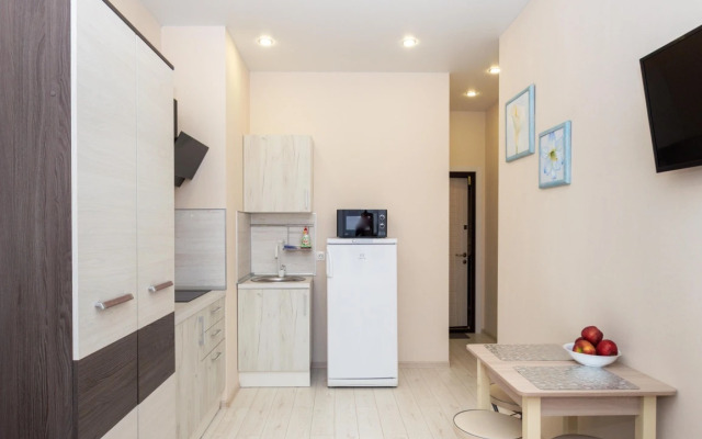 Mini-studiya v Centre s Kuhnej, Dushem i Bolshim Oknom Apartments