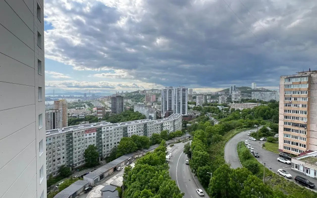 S Vidom na Gorod na Kaplunova 10 Flat