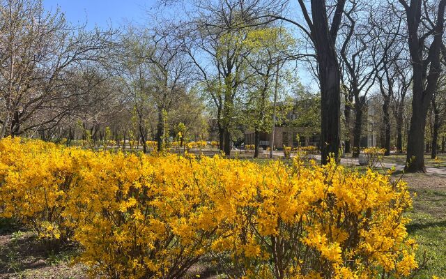 Квартира с видом на горы