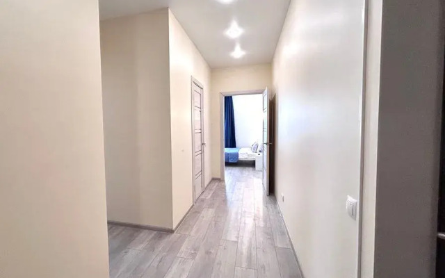 Odnokomnatnaya Kvartira Apartments