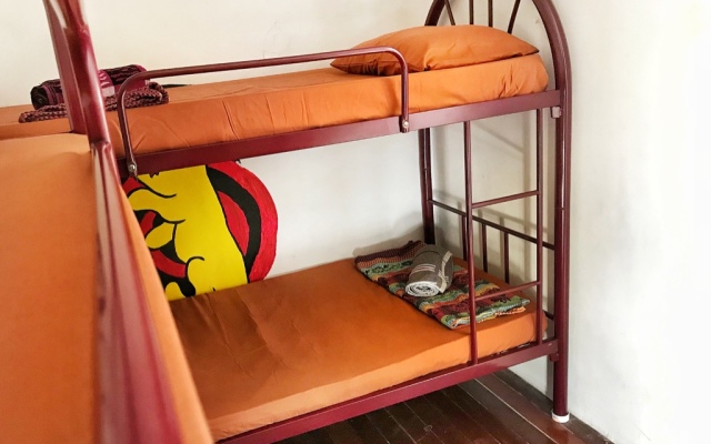 Quiik Cat Mini-Hotel