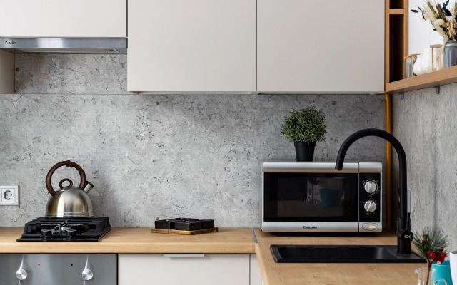 Sapfir v Pushkine Flat