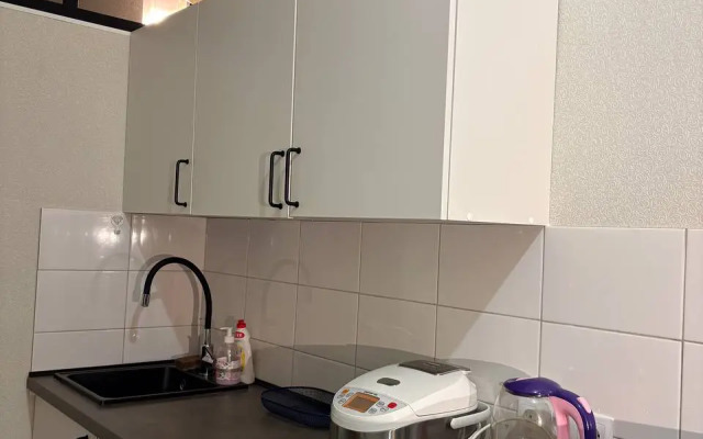 Апартаменты Вдохновение с видом на Петербург