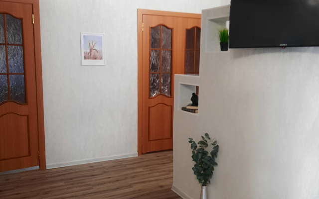 Uyutnye Trekhkomnatnye Apartments