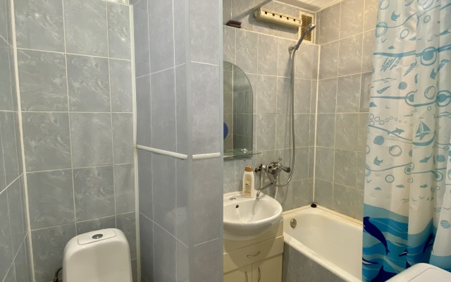 Na Svetlanovskom prospekte Flat