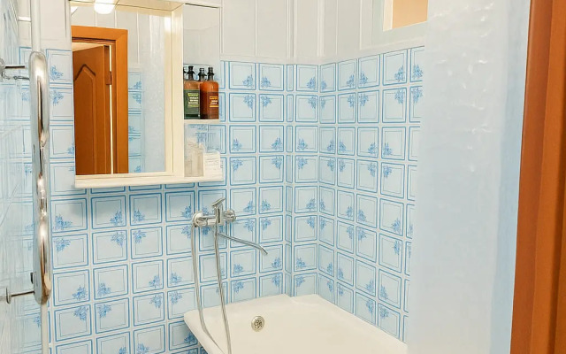 Квартира просторная на Проспекте 50 лет