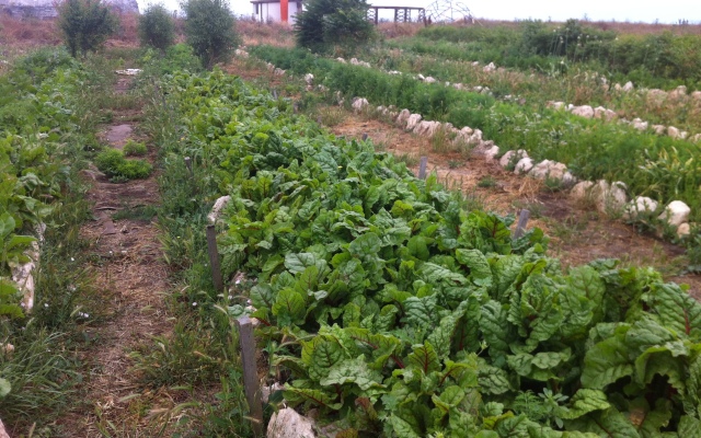 База Отдыха Эко Курорт Морское