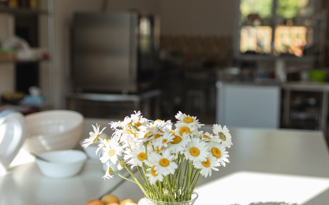 Chamich Guesthouse