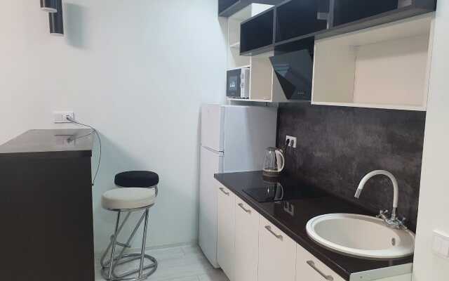 Апартаменты на Пархоменко 2 (347)