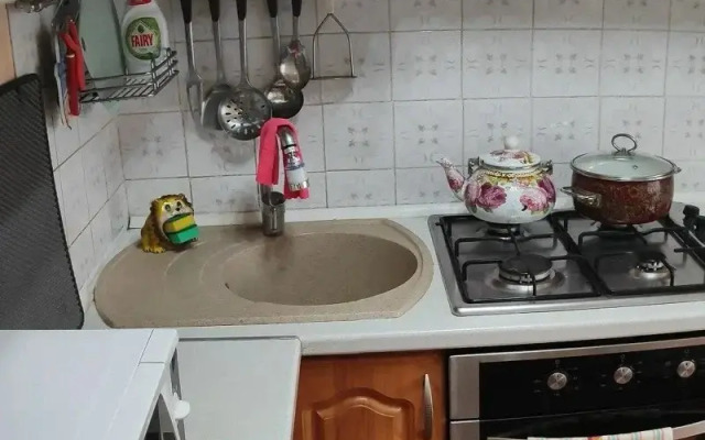 Апартаменты Просторные на Пионерской