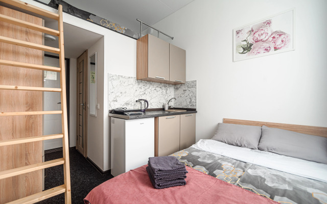 Apart-Otel Nizhniy Oranienbaum (306)
