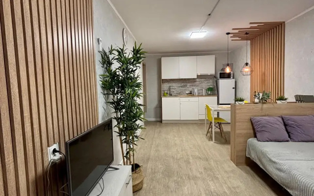 Апартаменты с Джакузи на Трц Иремель