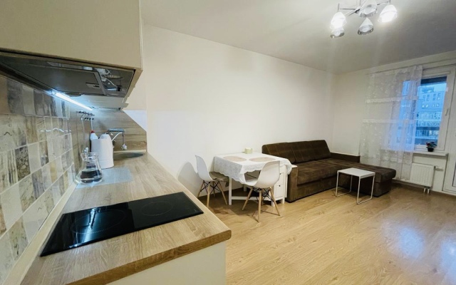 Uyutnaya Studiya ryadom s Ladozhskim Vokzalom Flat