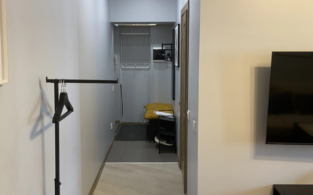 Квартира В историческом центре Екатеринбурга