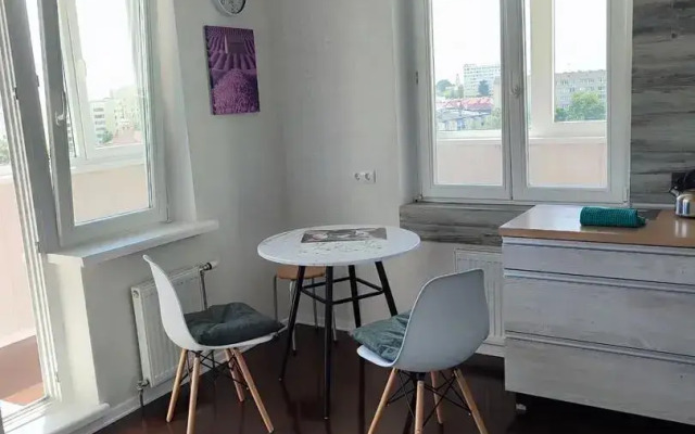 Na Prospekte Kosmonavtov 4b Apartments