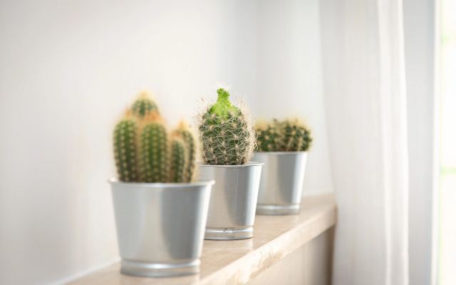 Апартаменты Colosseum - Marco Aurelio