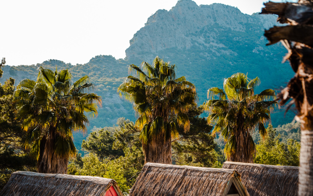 The Hill Glamping Bungalow