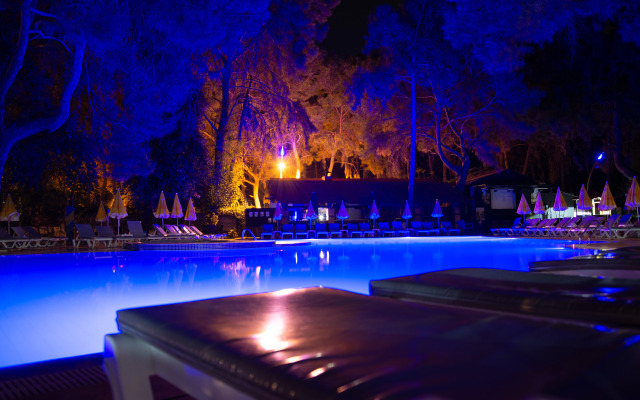 Festival Nature Hotel