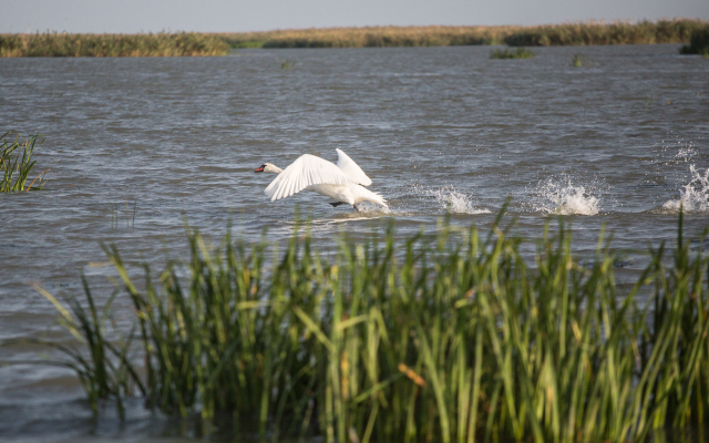 База Отдыха Дом Рыбака
