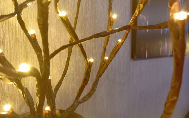 Studiya V Zhk Pioner C Panoramnym Vidom Flat