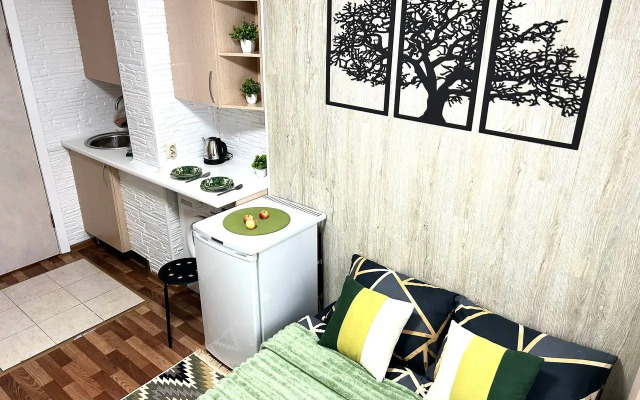 Квартира Студия 100 метров от метро