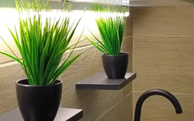 Apartments Queenstay Tropikana Na Voykovskoy