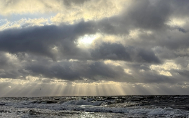 Квартира 4 на Балебина 13Б Новый Дом