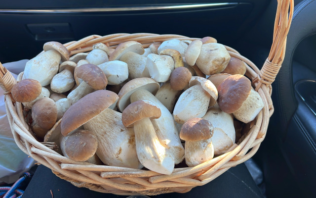 Частный дом Веселые гуси 3