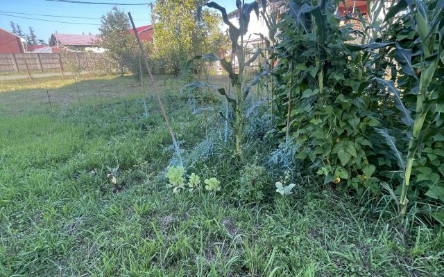 Ureki Homes Guest House