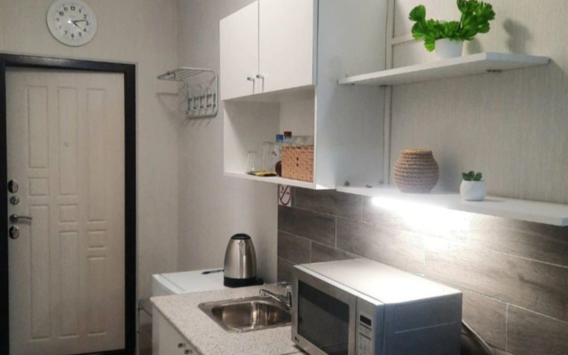 Studiya u Avtovokzala Flat