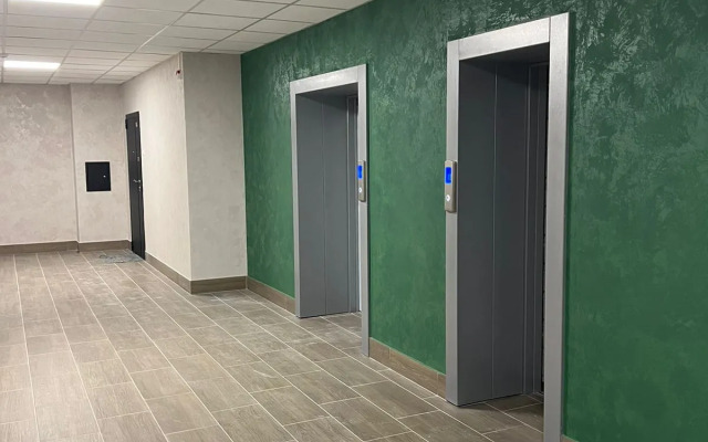 Апартаменты Авион Серебрянный бор