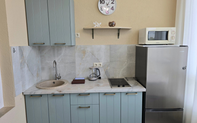 Chistye prudy Apartments