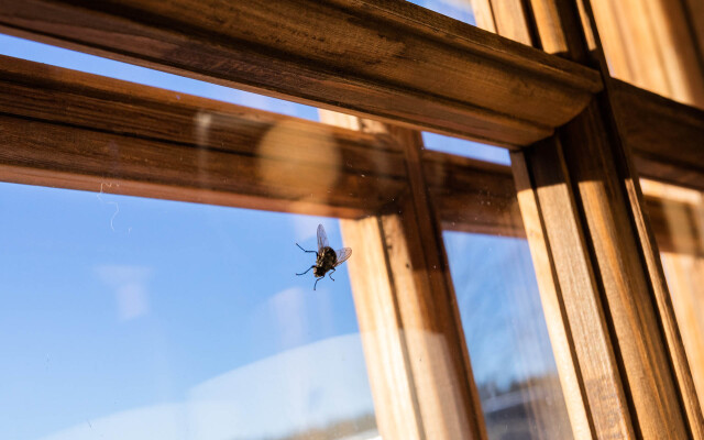 Апартаменты Удивительное Рядом 1