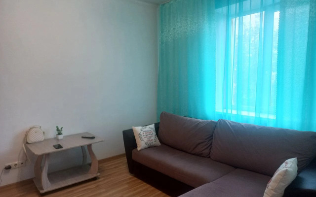 Квартира домашняя светлая двушка в центре Красноярска