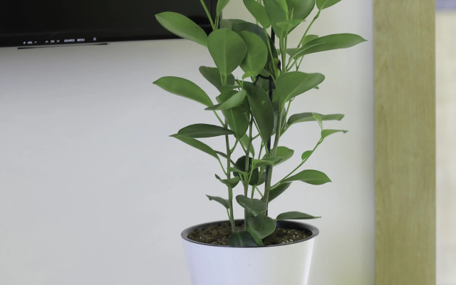 Seine by Downtown Inn Apartments