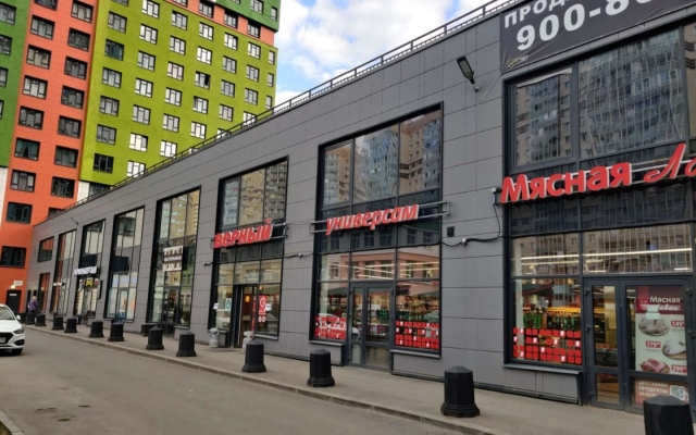 Uyutnaya Studiya U Parka Flat