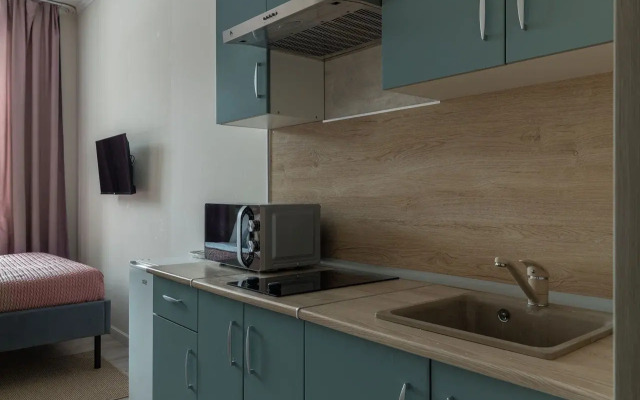 Teplo Apartments Studiya Na Rizhskom Prospekte Apartments
