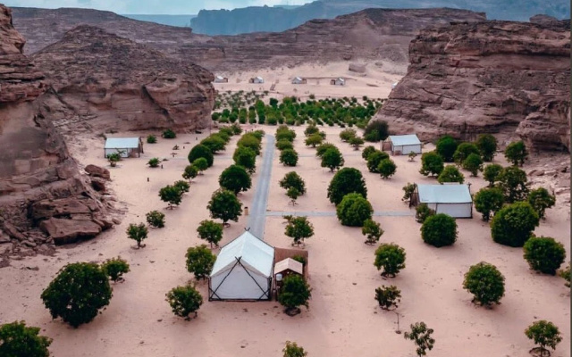Отель 26 North Al Ula by Prime Hotels