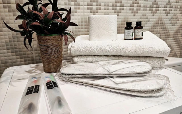 V Tsentralnom Sochi s Bolshoy Lodzhiey Flat