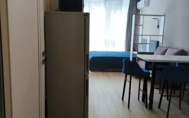 Uyutnaya Svetlaya Studiya S Panoramnymi Oknami Flat