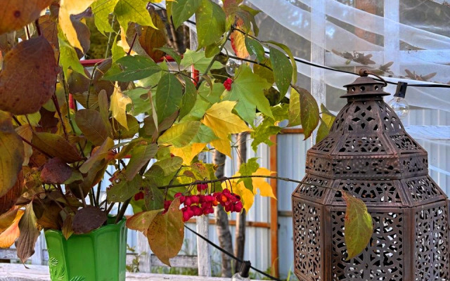 Коттедж Под звездами Стандарт