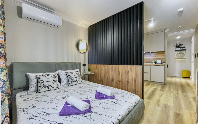 Апартаменты Студия м.Маяковская