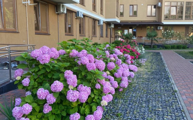 Novaya Svetlaya V Sochi Nedaleko Ot Morya Flat