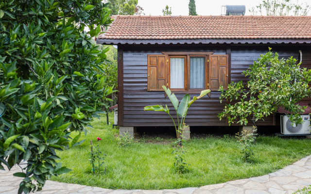 Меблированные комнаты Holiday House dilek çıralı