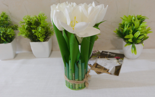 Апартаменты в Самом Центре Рядом с Парком